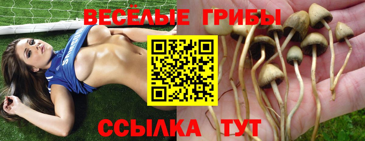 Галлюциногенные грибы прущие грибы Городец