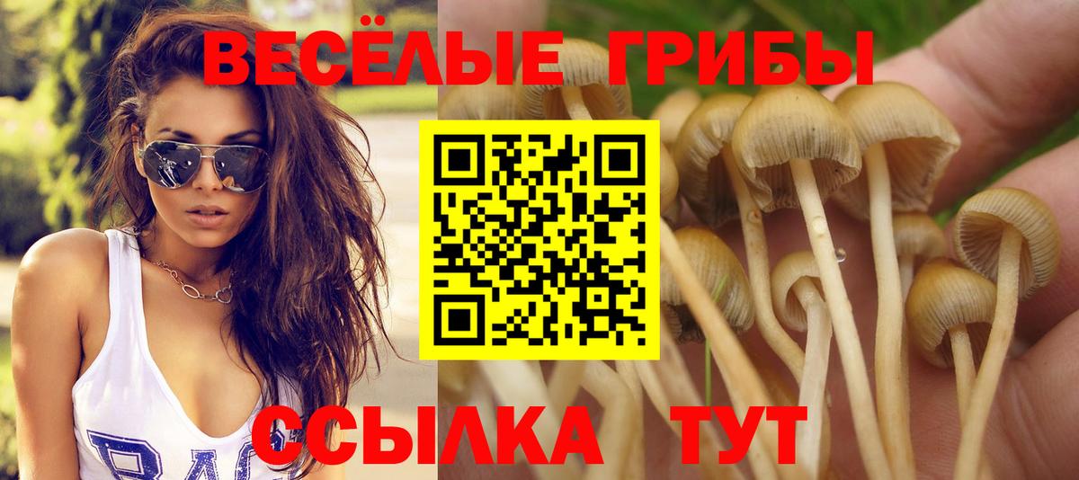 Городец  Галлюциногенные грибы ЛСД  Вход с VPN 