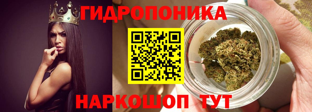 Канабис семена Городец